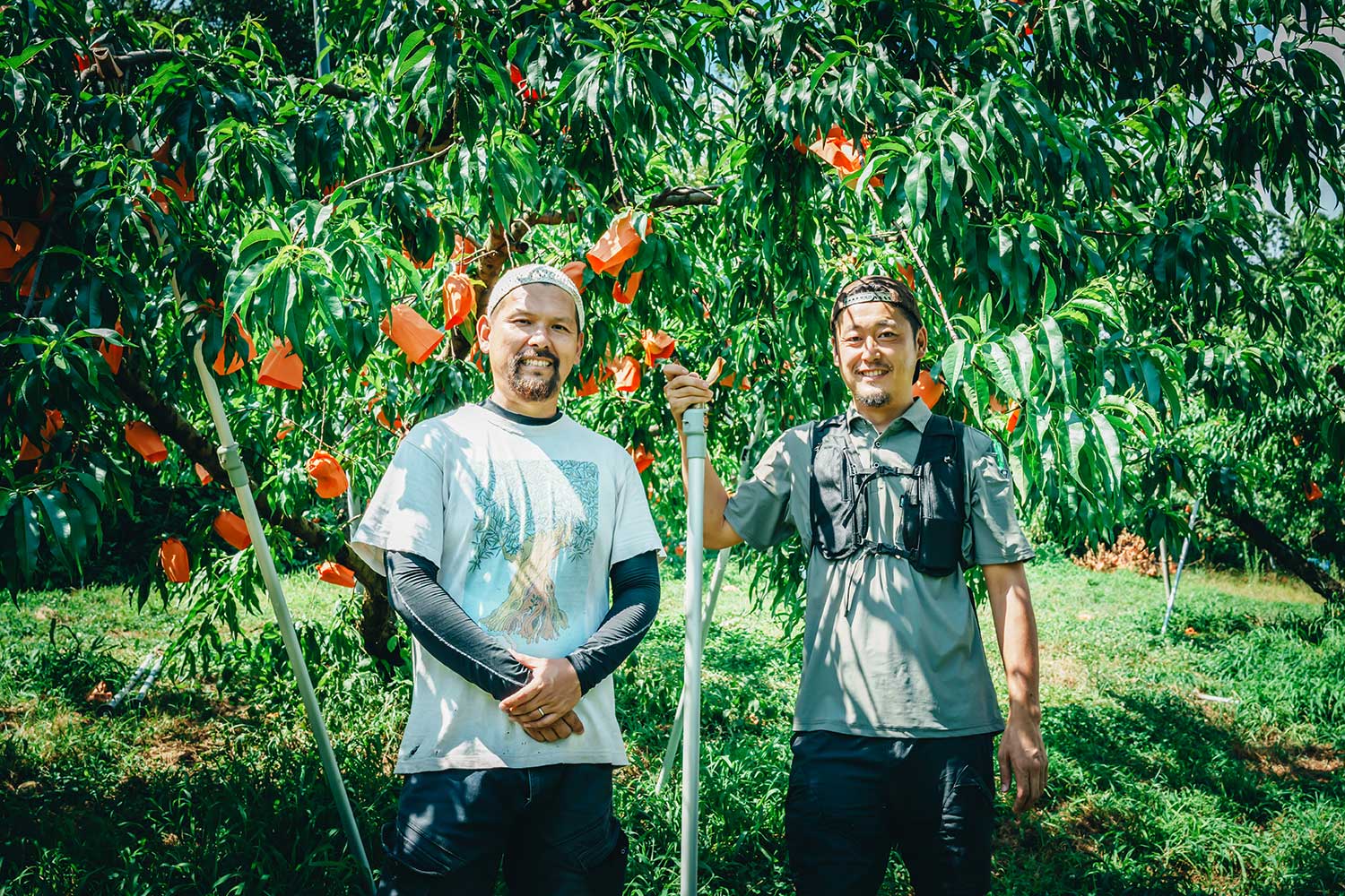 岡山で桃を育てる農家の佐伯亮太朗さんと吉富政宏さん